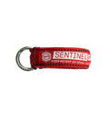 2019 Sentinel CSS Safety Loop